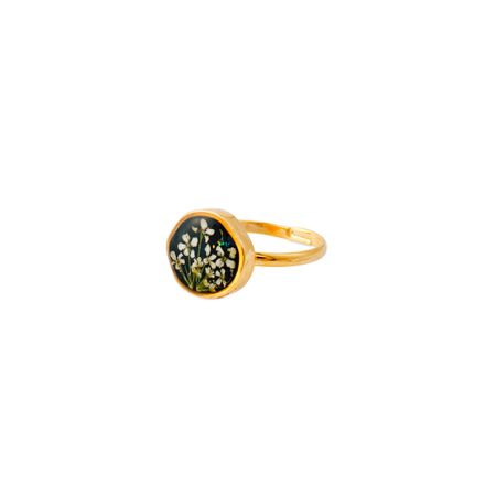 Wisteria Gems Маленькое круглое золотистое черное кольцо с белыми цветками