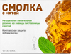 Vitateka Смолка с мятой жевательные Пастилки 5 шт