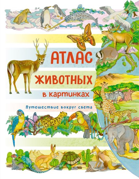 Элеонора Барсотти Атлас животных в картинках. Путешествие вокруг света