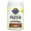 Garden of Life, RAW Organic Protein, формула из органических растений, ванильный чай, 580 г (20,45 унции)