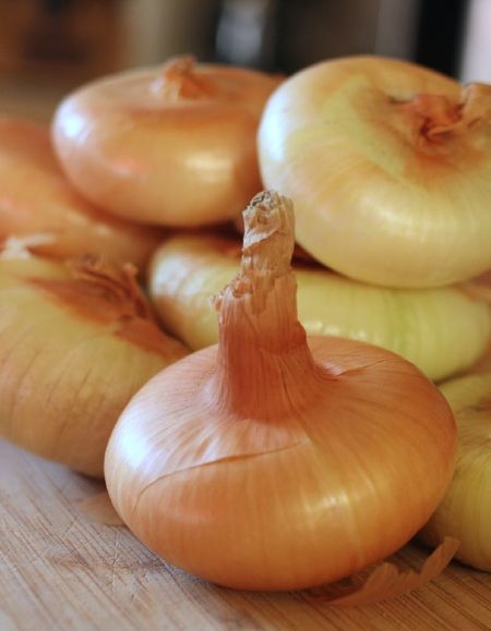 Лук севок Дедуля 1 кг калибр 921 45₽