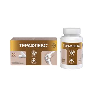 Терафлекс Капсулы 500 мг + 400 мг 60 шт