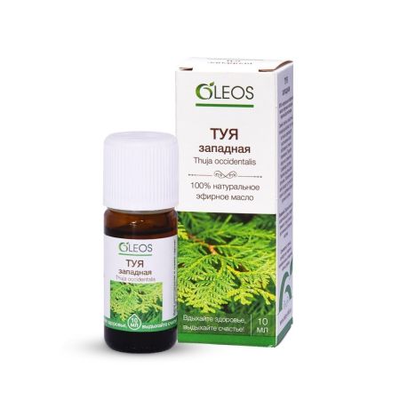Олеос масло эфирное туя 10мл 331₽