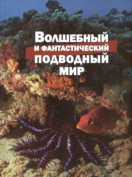 Василий Владимирович Климов Волшебный и фантастический подводный мир