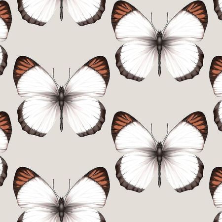 Обои Andrea Rossi Cheradi 54401-3 Винил на флизелине 1061005 СерыйОранжевый Бабочки 4800₽