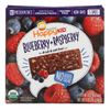 Happy Family Organics, Happy Kid, батончик с голубикой, малиной, фруктами и овсом, 5 батончиков по 28 г (0,99 унции)