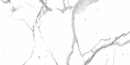 Керамогранит Royce Tile Alps Statuario Matt R_NR2001 60х120 1970₽