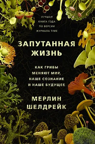 Мерлин Шелдрейк Запутанная жизнь. Как грибы меняют мир, сознание и будущее