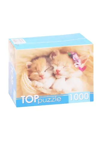 Пазл Два спящих котенка TOPpuzzle 1000 элементов ГИТП1000-2142