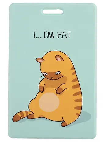 Чехол для карточек I..I’m fat (котик) (ДГ2021-307)