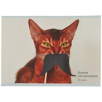 Альбом для рисования Listoff, "Котик с усами", А4, 40 листов, на скрепке