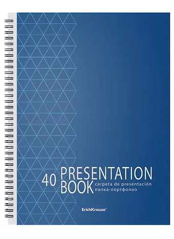 Папка 40ф А4 "Ladder of Success" пластик, ErichKrause