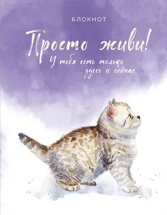 Соберись и не ной. Блокнот для сохранения себя в непростые времена (у.н.)