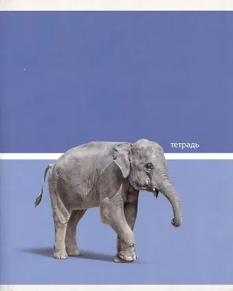 Тетрадь в клетку Listoff, Wild Animals, 48 листов, в ассортименте