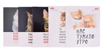 Тетради в клетку Hatber, "Котоюмор", 48 листов, 5 штук, в ассортименте