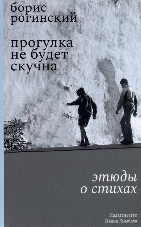 Борис Арсеньевич Рогинский Прогулка не будет скучна. Этюды о стихах
