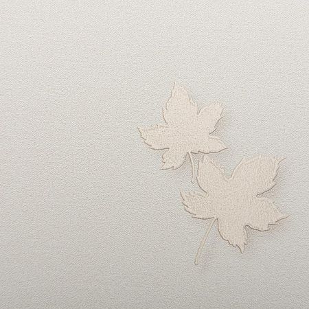 Обои Andrea Rossi Spectrum Pro 54384-1 Винил на флизелине 10610 БежевыйБелый Листья 4800₽