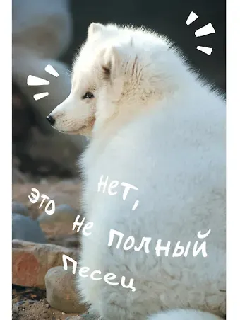 Книга для записей А5 80л кл. "Песец" 7БЦ