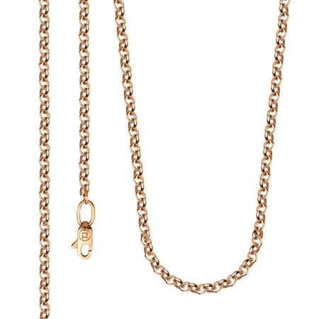 Золотая цепочка Ролло 44460₽