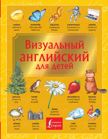 Виктория Александровна Державина Визуальный английский для детей