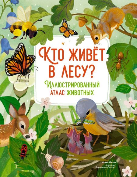 Алтея Вилла Кто живёт в лесу? Иллюстрированный атлас животных