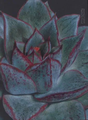 Записная книжка А6 80л кл. "Succulent (Эксклюзив)" инт.переплет, soft-touch, офсет