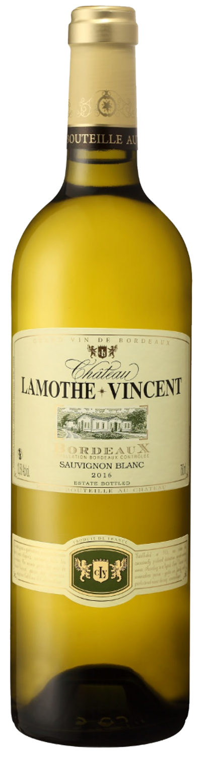 Chateau Lamothe-Vincent Sauvignon Blanc Bordeaux AOC