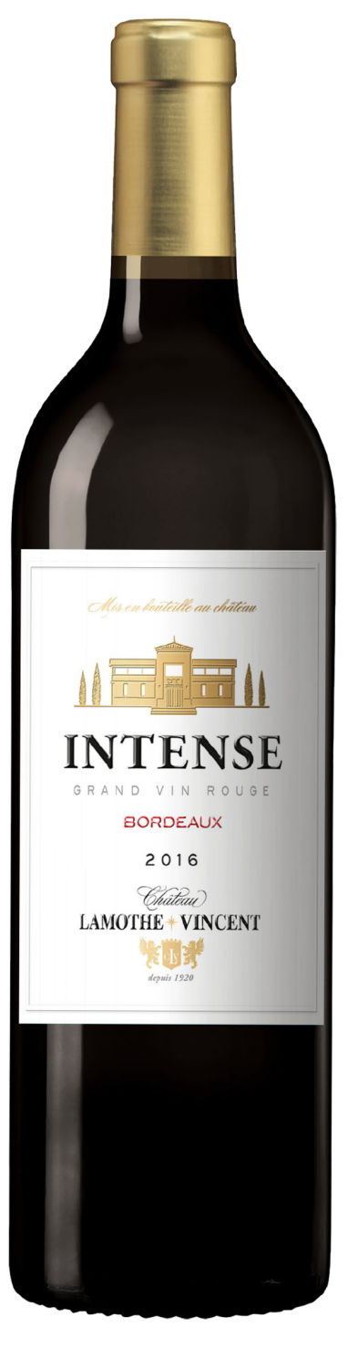 Intense Chateau Lamothe-Vincent Bordeaux AOC