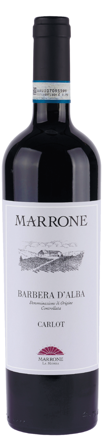 Famiglia Marrone Carlot Barbera d'Alba DOC