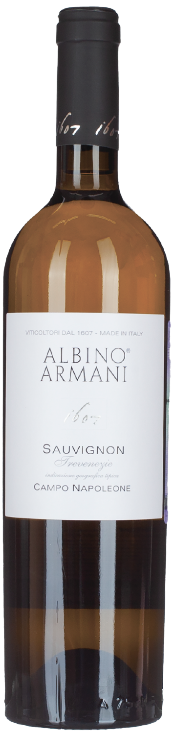 Sauvignon Campo Napoleone Trevenezie IGT Albino Armani