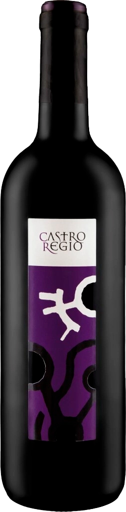 Castro Regio Red Dry