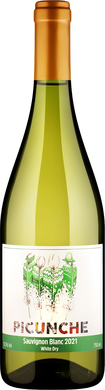 Picunche Sauvignon Blanc Central Valle DO