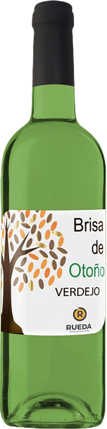 Brisa de Otono Verdejo Rueda DO Navarro Lopez