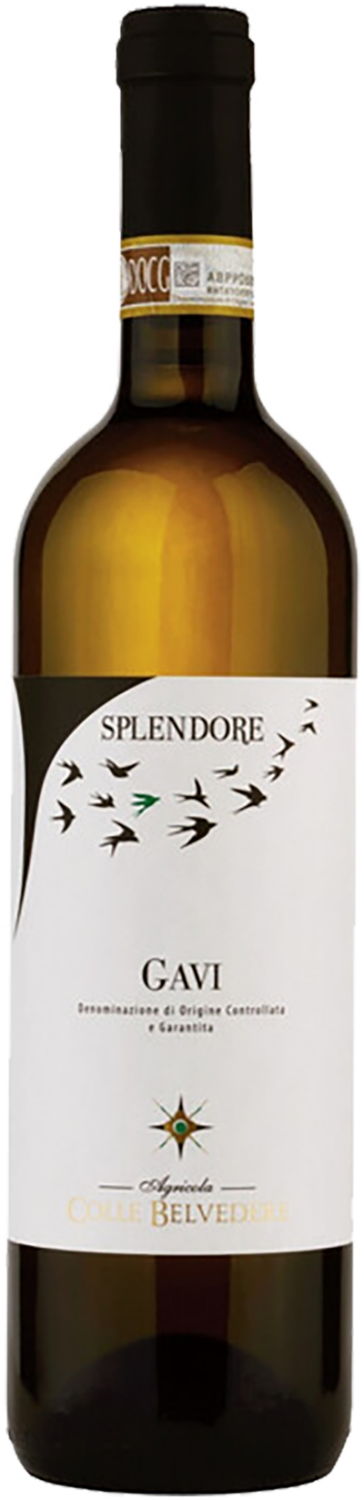 Splendore Gavi DOCG Colle Belvedere