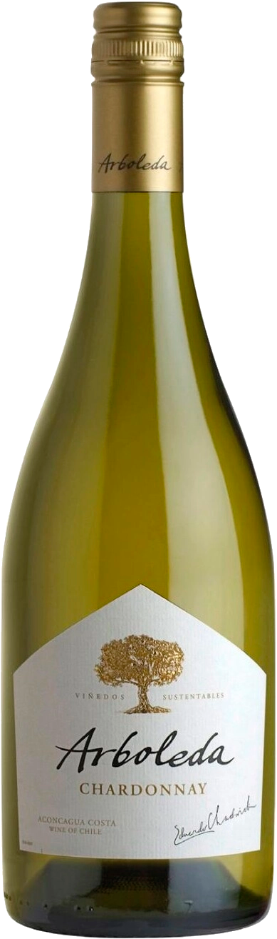 Chardonnay Aconcagua Costa DO Vina Arboleda