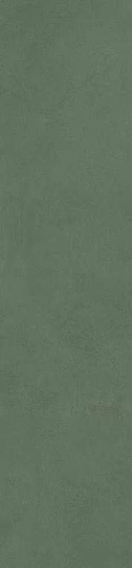 Керамогранит Simpolo Spectra Herbs MPL-061915 58х25 см 4270₽