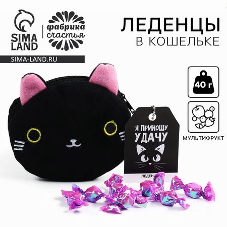 Леденцы «Приношу удачу» в кошельке, со вкусом винограда, 40 г.