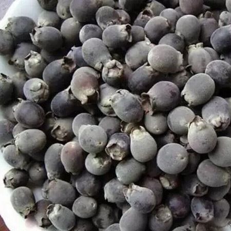 250/500 г сушеных плодов родомиртуса войлочного, сушеный травяной чай Renzi Tea Jinxiang 250g