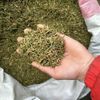100 г/36 унций новейшего натурального энергетического чая Хуан, бесплатная доставка