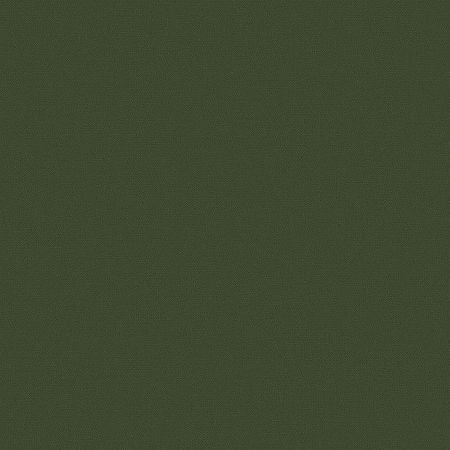 Обои LOYMINA Equator QTR8 0052 Флизелин 11005 Зеленый ОднотонныеРогожка 8965₽