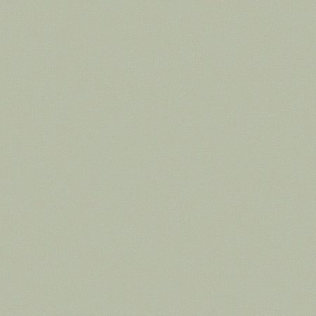 Обои LOYMINA A La Prima Pm13 005 Флизелин 11005 Зеленый Рогожка 8195₽