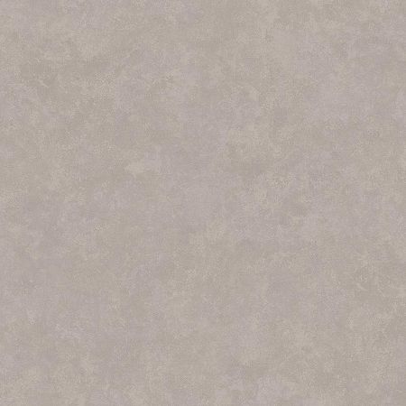 Обои LOYMINA Golden Library TD7 022 Винил на флизелине 11005 СерыйБежевый Штукатурка 10725₽