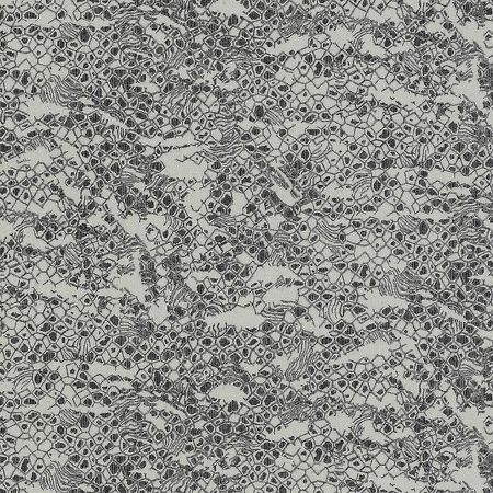 Обои Emiliana Parati Roberto Cavalli 8 19035 Винил на флизелине 1061005 Серый Абстракция 18700₽