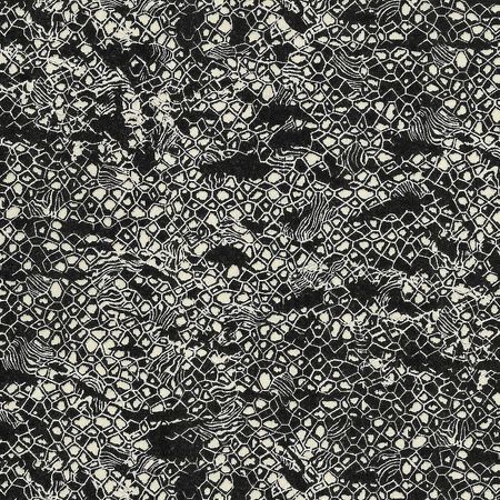 Обои Emiliana Parati Roberto Cavalli 8 19036 Винил на флизелине 1061005 Черный Абстракция 18700₽