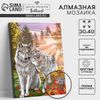 Алмазная мозаика с полным заполнением на подрамнике