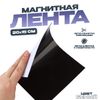 Магнитная лента