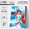 Картина по номерам на холсте с подрамником