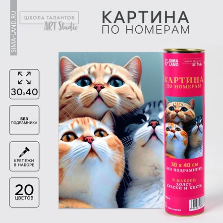 Картина по номерам в тубусе