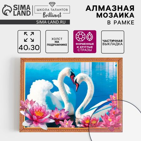 Алмазная мозаика с частичным заполнением и форменными стразами на раме