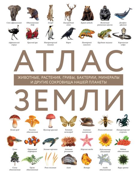 Регина Валерьевна Михайлова Атлас Земли. Животные, растения, грибы, бактерии, минералы и другие сокровища нашей планеты
